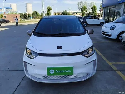 2021 Sehol Flower Fairy 302km Fashion Edition 30.2kWh, фото 3, лот 11565480
