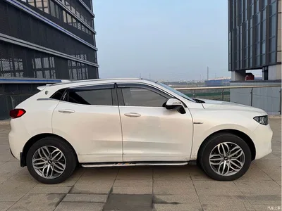 2019 WEY VV5 Upgrade 2.0T 2WD Ultra Luxury China V, фото 4, лот 10451852