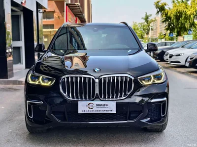 2022 BMW X5 Facelift xDrive 40Li M Sport Package, фото 2, лот 10463072
