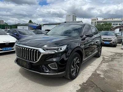 2022 Hongqi HS5 2.0T Smart Connect Premium Edition, фото 1, лот 10481856