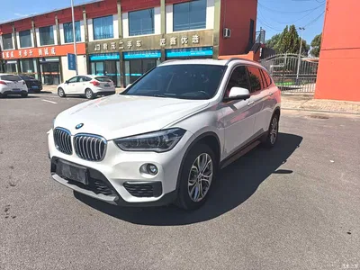 2019 BMW X1 sDrive20Li Leading Model, фото 1, лот 10480909