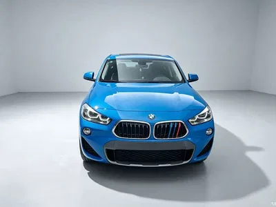 2019 BMW X2 (Import) sDrive20i M Off-Road Package China VI, фото 1, лот 10475582