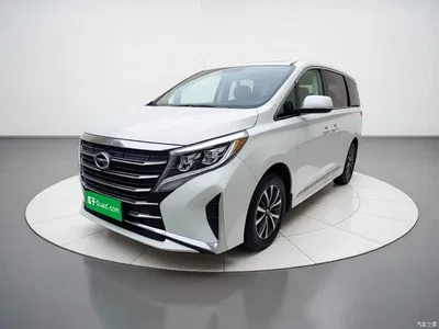 2021 GAC Trumpchi Trumpchi M8 Facelift Leading Series 390T Luxury Edition, фото 1, лот 10423323