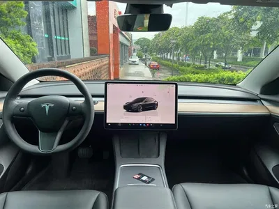 2022 Tesla Model 3 Model Rear-Wheel Drive Version, фото 3, лот 10350530