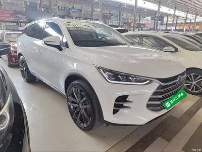2019 BYD Tang New Energy DM 2.0T AWD Intelligent Leadership Creation 7-seater China VI, фото 4, лот 10272448