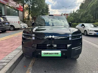 2025 Byd Titanium 7 AWD Base Model, фото 2, лот 10826811