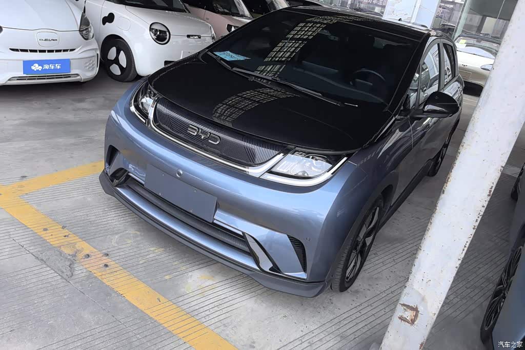 2025 BYD Dolphin 520km Knight Edition, фото 1, лот 11175703