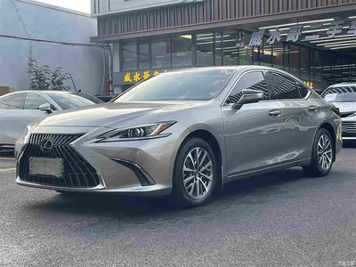 2022 Lexus ES 200 Excellence Edition, фото 1, лот 10314733