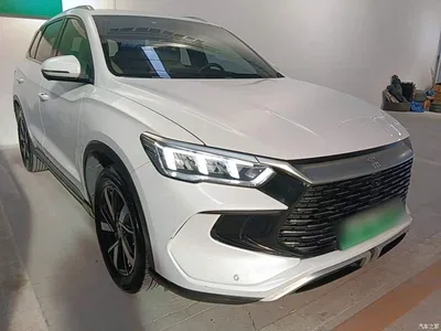 2023 BYD Song Pro New Energy Champion Edition DM-i 71KM Leading Type, фото 4, лот 10276826