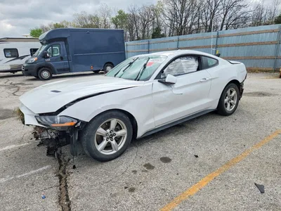 2019 FORD MUSTANG, фото 1, лот 10558733