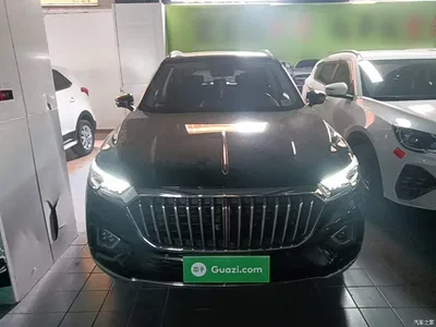 2019 Hongqi HS5 2.0T Smart Connect Enjoy Edition, фото 3, лот 10289452