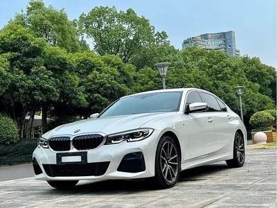 2021 BMW 3 Series 320Li M Sport Package, фото 1, лот 11549324