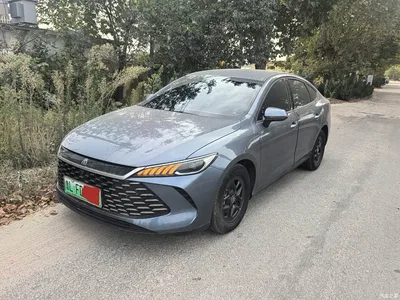 2025 BYD Qin PLUS DM-i Smart Drive 55KM Leader, фото 1, лот 11007059