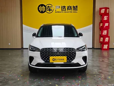 2023 Lincoln Adventurer 2.0T 2WD Zunxiang Edition, фото 3, лот 11134584