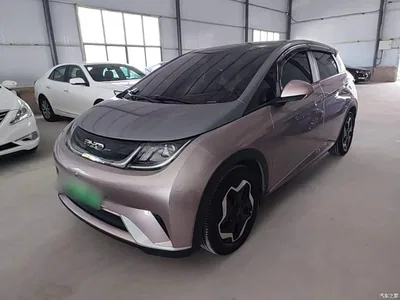 2021 BYD Dolphin 405km Freedom Edition, фото 1, лот 10264174