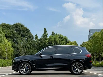 2022 BMW X5 Facelift xDrive 40Li M Sport Package, фото 3, лот 10237729