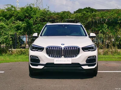 2019 BMW X5 (Import) xDrive30i X Design Package, фото 2, лот 11344055