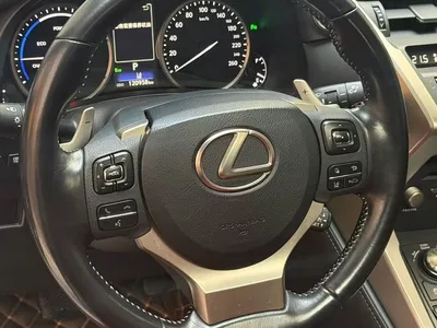 2018 Lexus NX Model 300h FWD Fengshang Edition China V, фото 3, лот 11011485