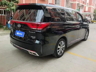 2020 GAC Trumpchi Trumpchi M8 Pilot 390T Prestige Edition, фото 3, лот 11512462