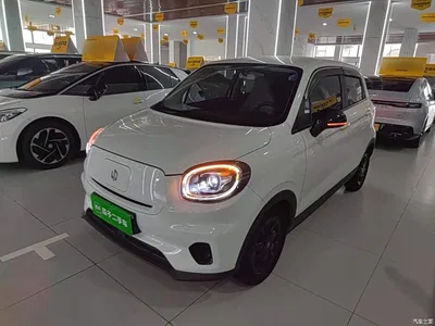2023 Leapmotor T03 310 Light Edition, фото 2, лот 11138338