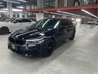 2020 BMW 5 Series 530Li Leading M Sport Package, фото 1, лот 11135953