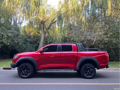 2020 Great Wall Pao 2.0T Off-road Automatic Gasoline 4WD Limited GW4C20B, фото 3, лот 10246362