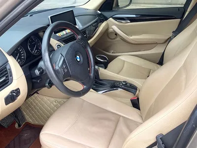 2010 BMW X1 (Import) sDrive18i Luxury Model, фото 4, лот 10475844