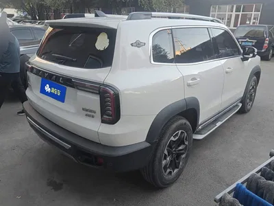 2021 Haval Big Dog 2.0T DCT 4WD Chinese Rural Dog Edition, фото 4, лот 11205121