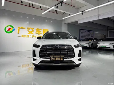 2024 GAC Trumpchi Trumpchi GS4 MAX 1.5T Pilot Edition, фото 2, лот 10414027