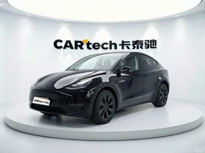 2022 Tesla Model Y Facelift Rear-Wheel Drive Version, фото 1, лот 10584945