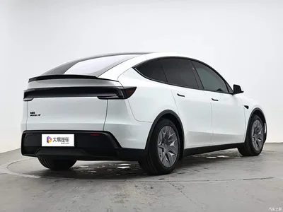 2025 Tesla Model Y L, фото 3, лот 10893581