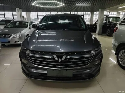 2020 Wuling Motors Wuling Victory 1.5T CVT Premium Edition, фото 3, лот 11248794