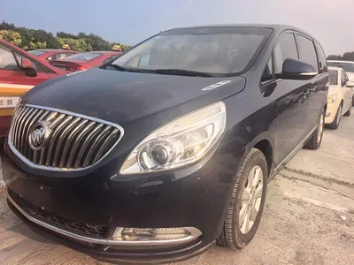2014 Buick GL8 3.0L XT Luxury Business Flagship, фото 1, лот 10250370