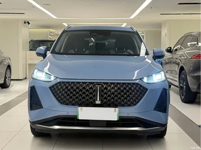 2021 WEY Macchiato DHT 1.5L DHT Special Tuning Edition, фото 2, лот 10957826