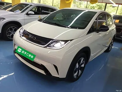 2025 BYD Dolphin 420km Freedom Edition, фото 2, лот 10389023