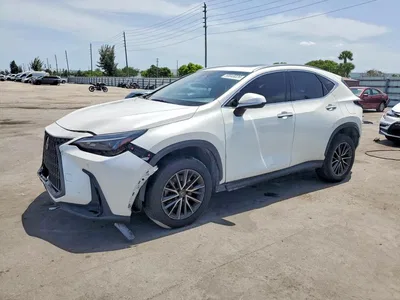 2023 LEXUS NX 350, фото 1, лот 10843622