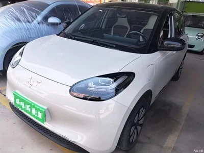 2024 Wuling Motors Wuling Bingo 333km Smart Connect Edition, фото 2, лот 10368478