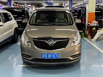 2017 Buick GL8 25S Luxury China V, фото 1, лот 10254308