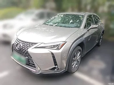 2020 Lexus UX Electric 300e Pure Yue Edition, фото 1, лот 10319456