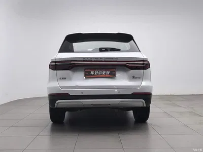 2019 BYD Song Pro 1.5T Automatic Luxury, фото 4, лот 10888809