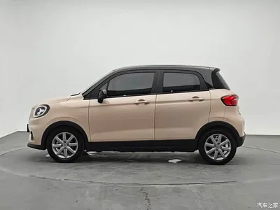 2022 Leapmotor T03 Golden Glory Edition, фото 3, лот 10314718