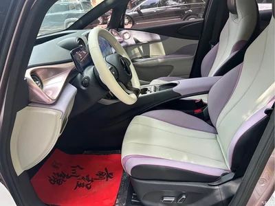 2021 BYD Dolphin 401km Knight Edition, фото 4, лот 10254708