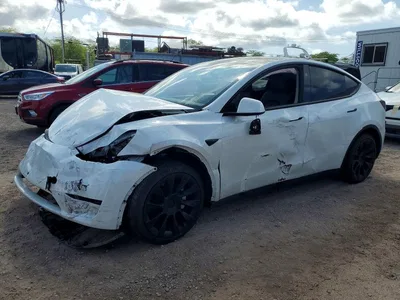 2024 TESLA MODEL Y, фото 1, лот 10852197