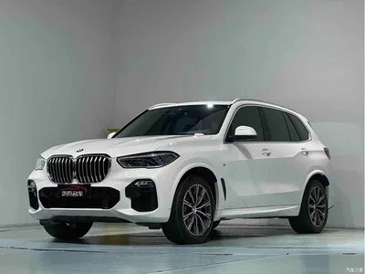 2019 BMW X5 (Import) xDrive40i M Sport Package, фото 2, лот 10239118