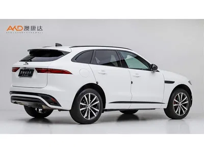 2024 Jaguar F-PACE P250 R-Dynamic SE, фото 3, лот 10304372