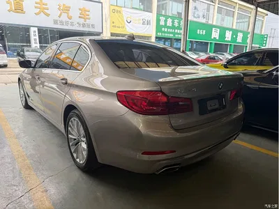2020 BMW 5 Series 525Li Luxury Package, фото 4, лот 11089026