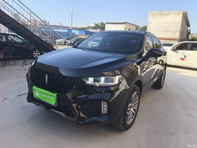 2017 WEY VV5 2.0T Super Luxury Model, фото 1, лот 11570084