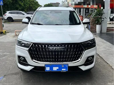2023 Haval H6 National Trend Edition 1.5T Automatic Champion, фото 2, лот 10282600