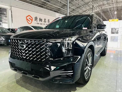 2024 GAC Trumpchi Trumpchi GS8 Navigator Series 2.0TGDI 2WD Luxury Smart Connect Edition, фото 1, лот 10420174
