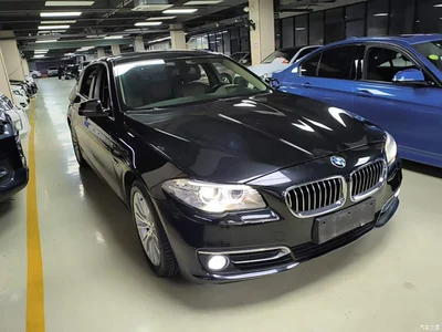 2014 BMW 5 Series 525Li Luxury Design Package, фото 4, лот 11459788